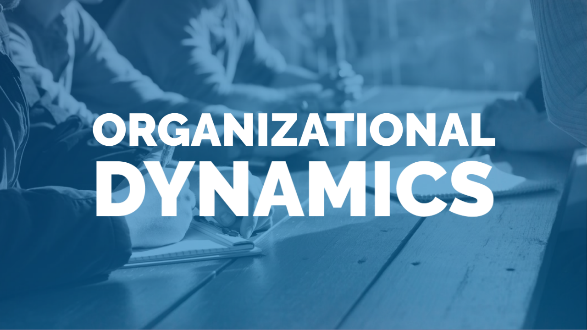 Organisatorische Dynamik