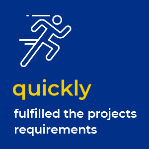 quickly fulfilled project requirements